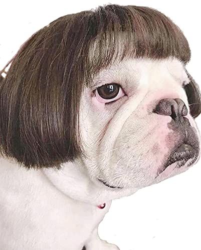 Wig for Dog
