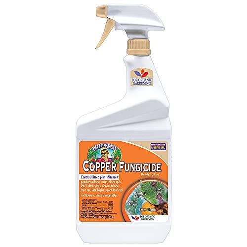 Fungicide