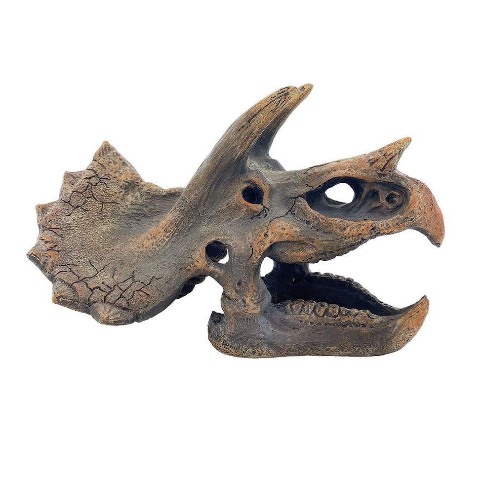 Dino Fossil Tabletop Décor 