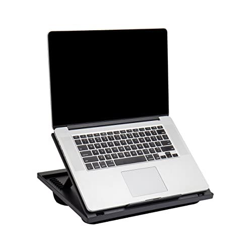 Adjustable Portable 8 Position Lap Top Desk with Built in Cushions