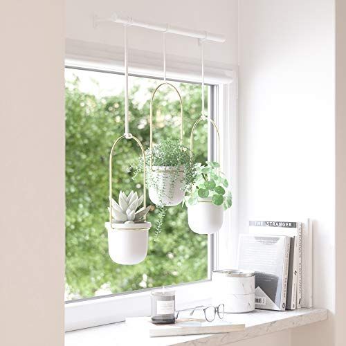 Triflora Hanging Planters for Indoor Plants or Herbs 