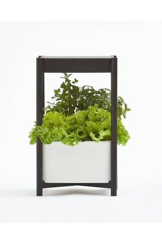 Miracle Grow Indoor Growing System