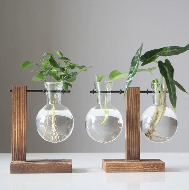 Glass Propagation Vases