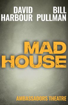 David Harbour in Mad House - West End play tickets