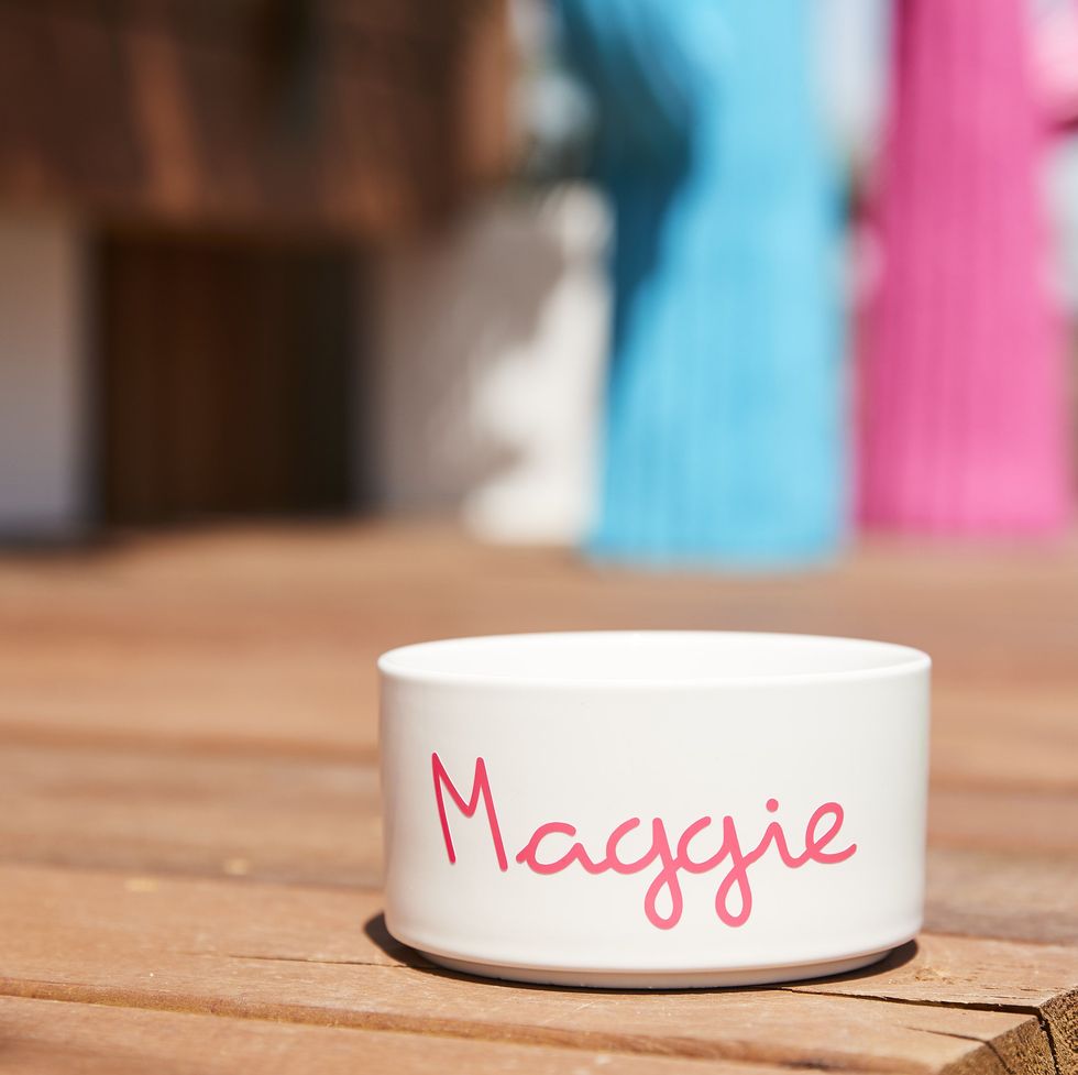 Love Island official personalised pet bowl