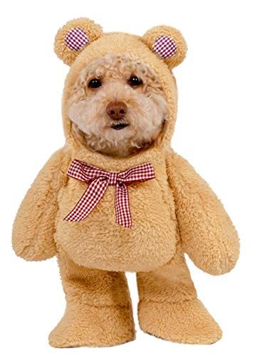 Walking Teddy Bear Pet Suit
