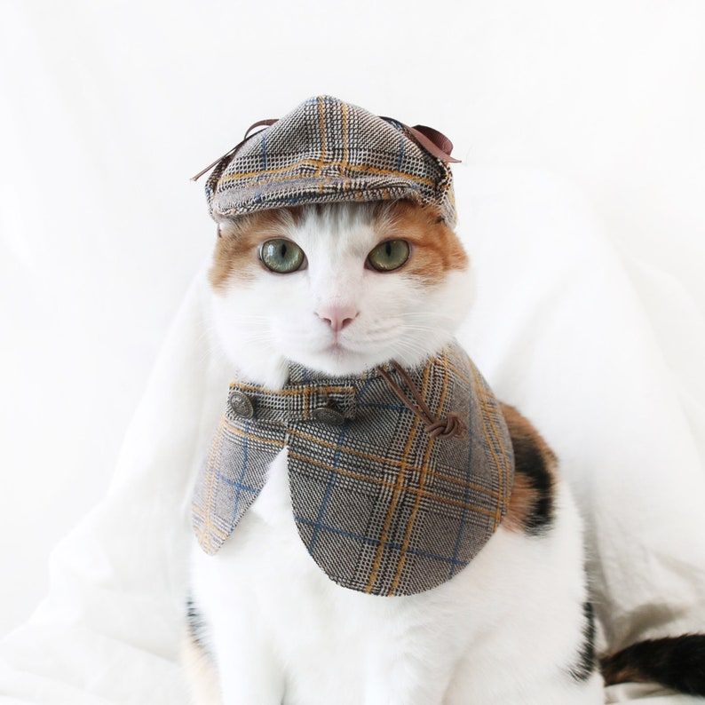 Adult Feline Chic Cat Animal Costume 