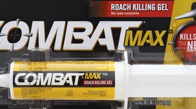4 Best Roach Killers of 2024 - How to Kill Cockroaches