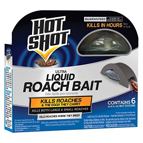 15 Best Roach Killers To Eliminate Insects In 2024