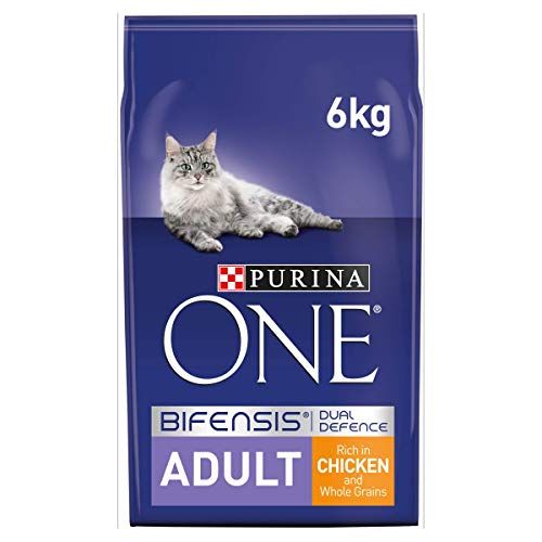 Purina ONE Adult Dry Cat Food Chicken and Wholegrains 6kg