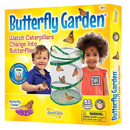 Butterfly Growing Kit 
