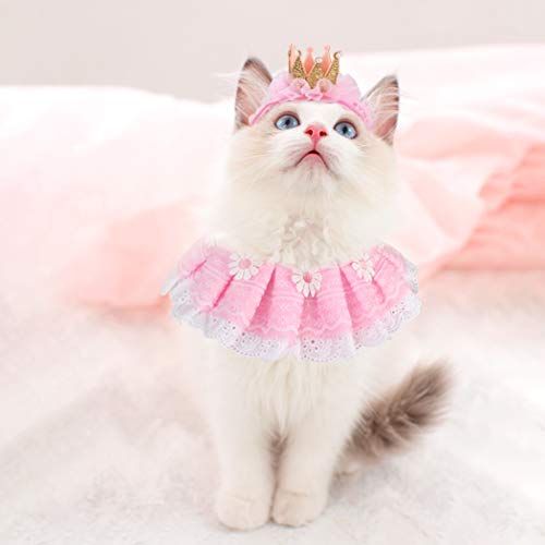 36 Best Halloween Costumes For Cats 2022 — Best Cat Costumes