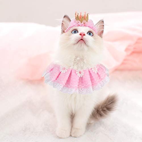 Kitty costumes for cats best sale