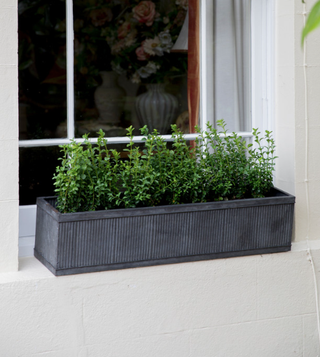 Vence Window Box