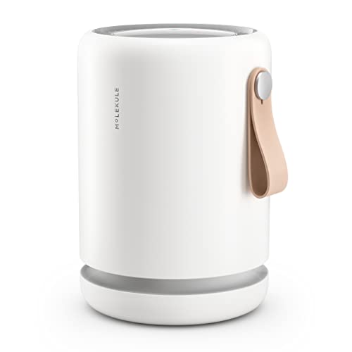 Molekule Mini Air Purifier Molekule Mini Air Purifier