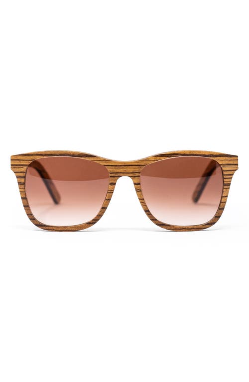 Barklae 51mm Gradient Square Zebrawood Sunglasses