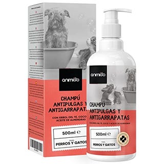 shampoing antiparasitaire