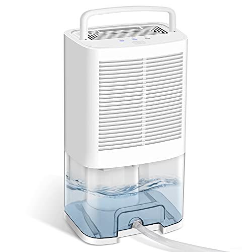 Best Dehumidifiers For Basements 2023 - Forbes Vetted