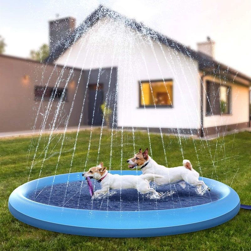 Dog Fountain Splash Mat