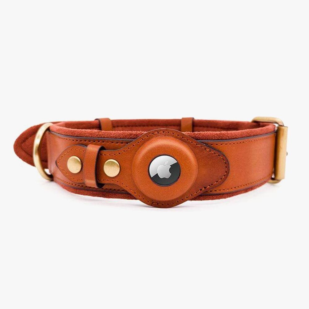 what does an orange dog collar mean