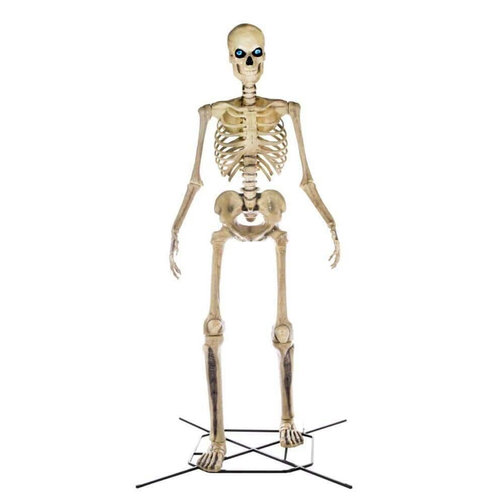 12 ft Giant-Sized Skeleton 
