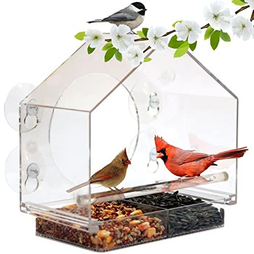 Glass House Bird Feeder