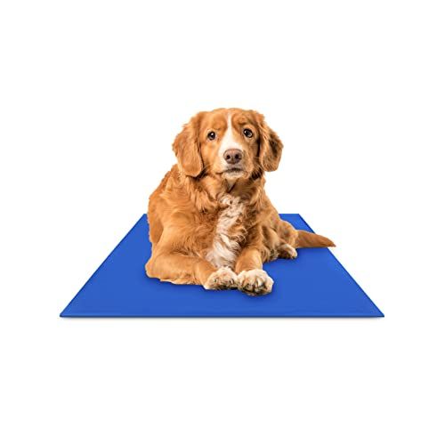 Cooling Mat for Dogs
