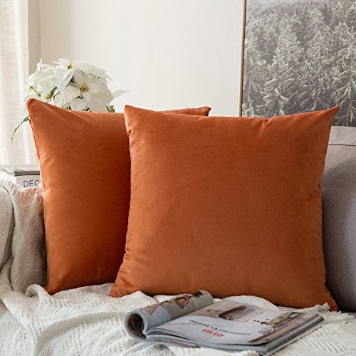 MIULEE 18x18 Pillow Inserts Set of 2, Square Decorative Throw Pillows  Premium Fluffy Pillow Forms Sham Stuffer for Living Room Sofa Couch Bed -  Yahoo Shopping