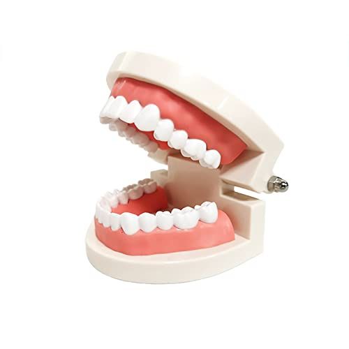 Buy Dentist Gift Online In India  Etsy India