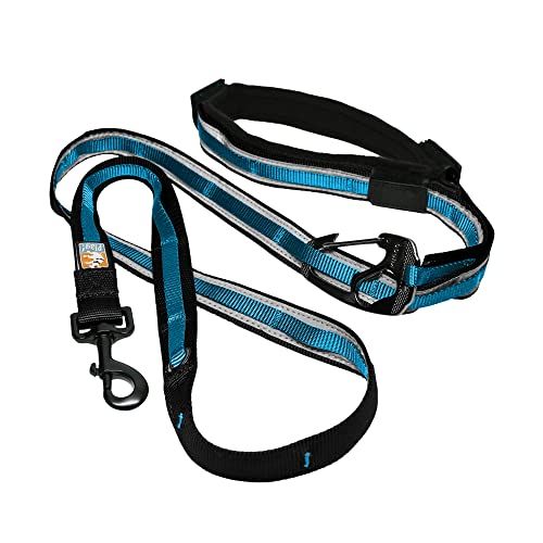 6-in-1 Hands-Free Dog Leash