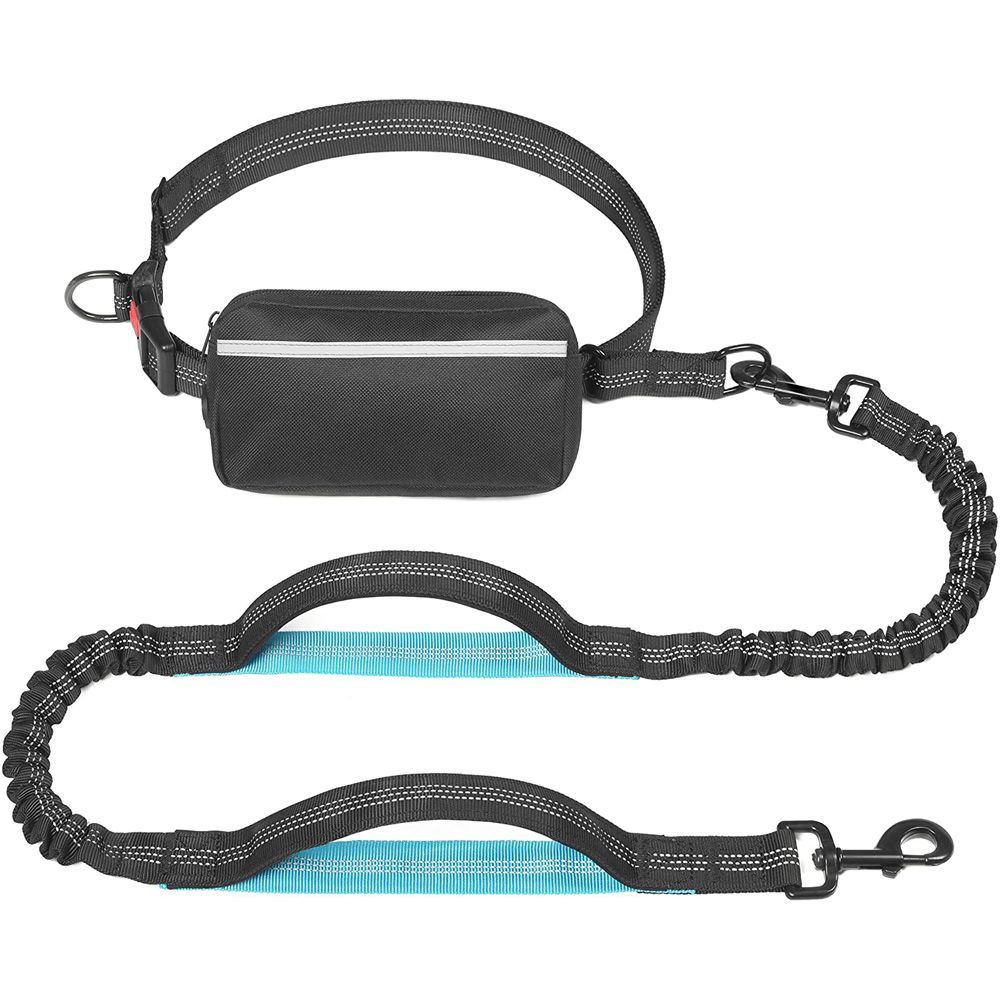 Best hotsell leather leash