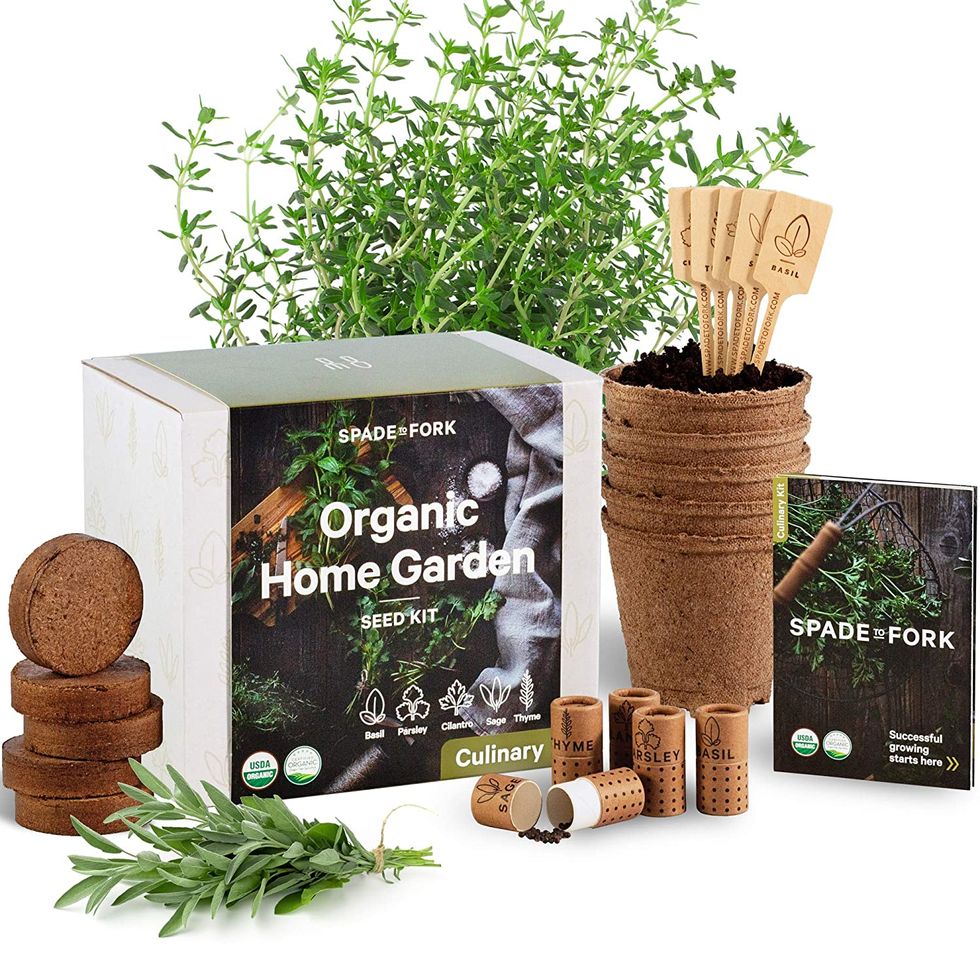 Organic Herb Garden Kit 