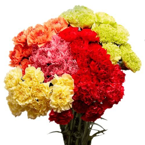 Best Flower Delivery Services Online Of 2024 Tested And Reviewed   1658250790 51OCPlve9bL. SL500  