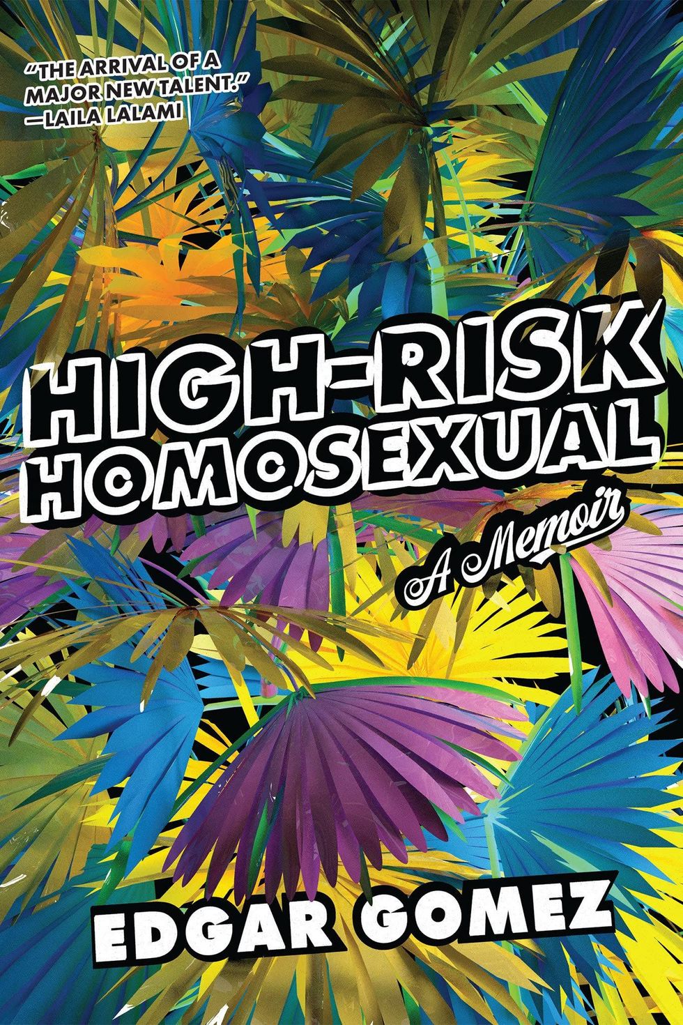 <i>High-Risk Homosexual</i> by Edgar Gomez