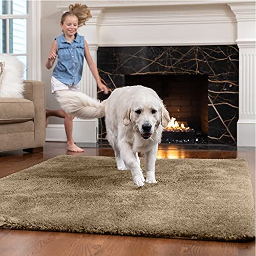 The Best Washable Rugs In 2022, Best Rug Grip For Carpet