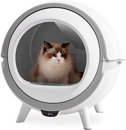 22年最新 全自動猫トイレ は使える 愛猫家の口コミによるおすすめ10選を発表