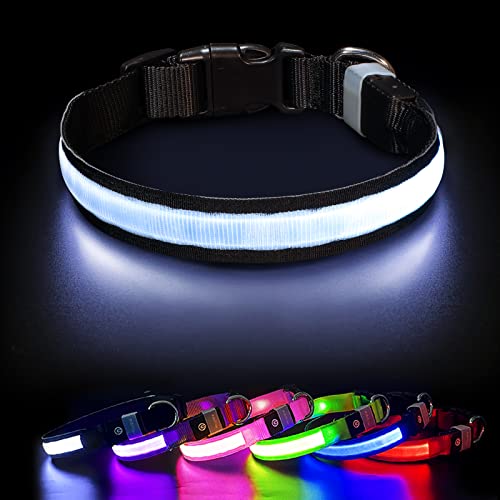 LED Dog Collar