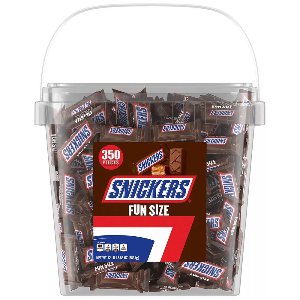 Snickers Fun Size Candy Bars (350-Count)
