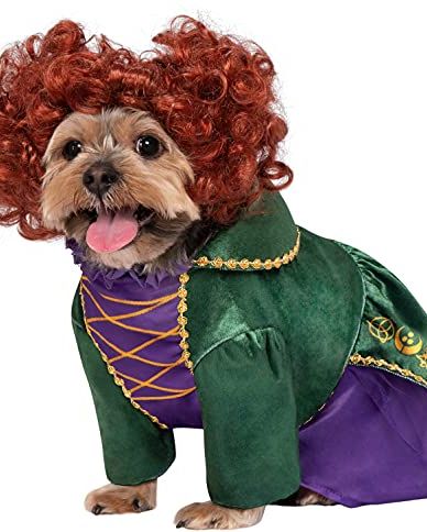 Disney Hocus Pocus Winifred Sanderson Pet Costume