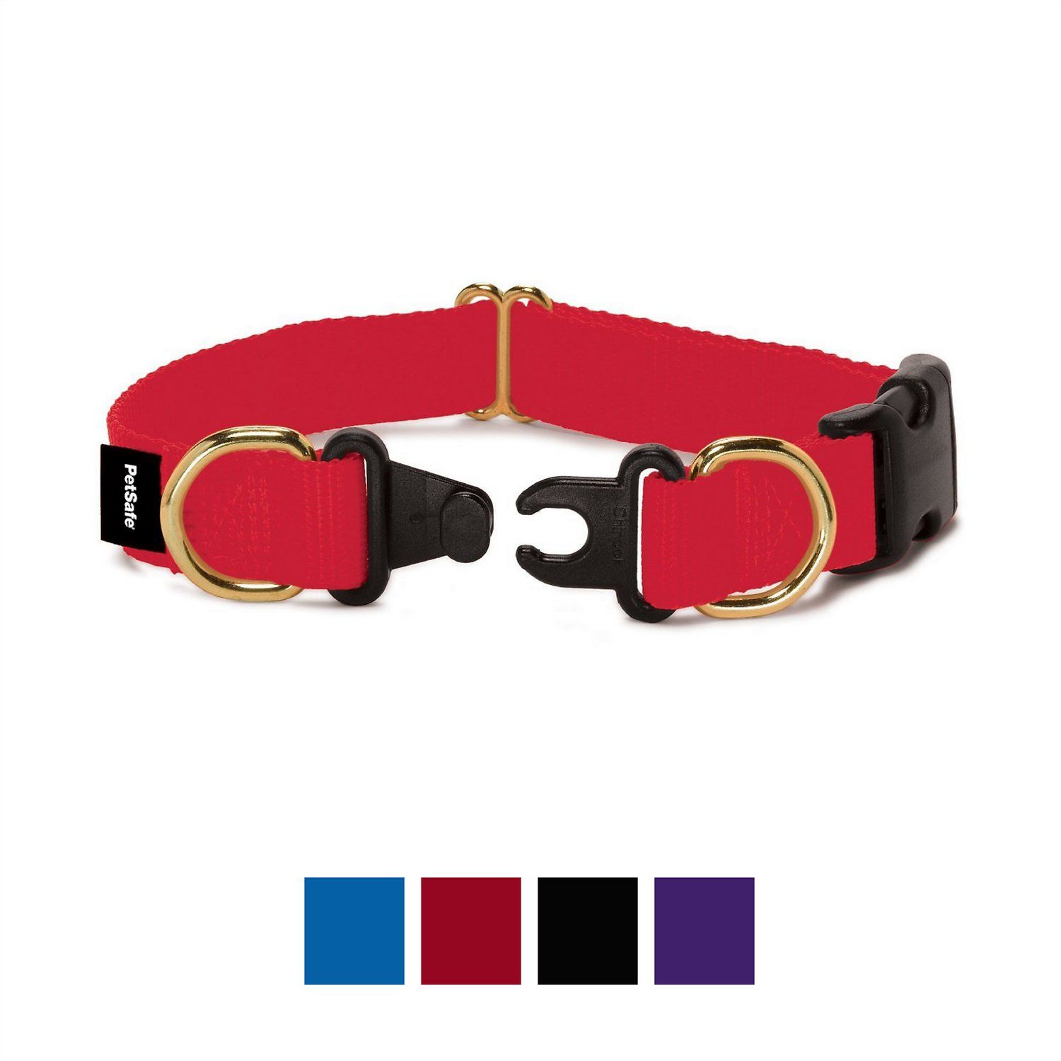 Best tagless dog outlet collar