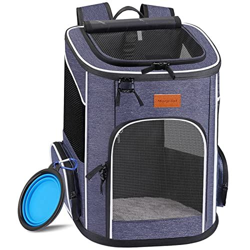 Foldable Cat Backpack Carrier