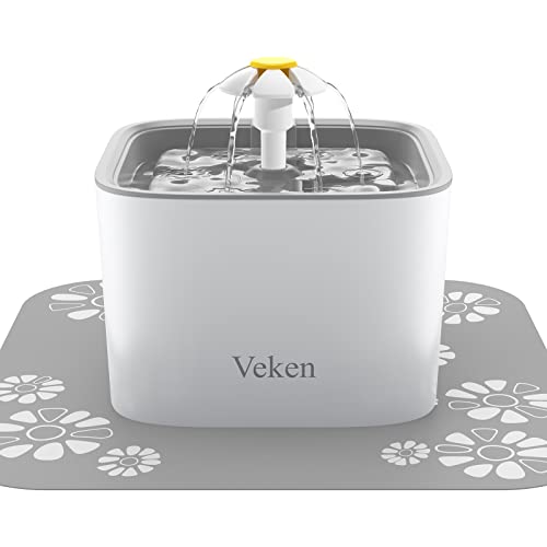 Pet Fountain With Replacement Filters and Silicone Mat 