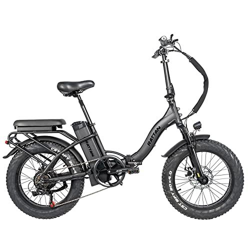 Rattan Electric Folding Bike