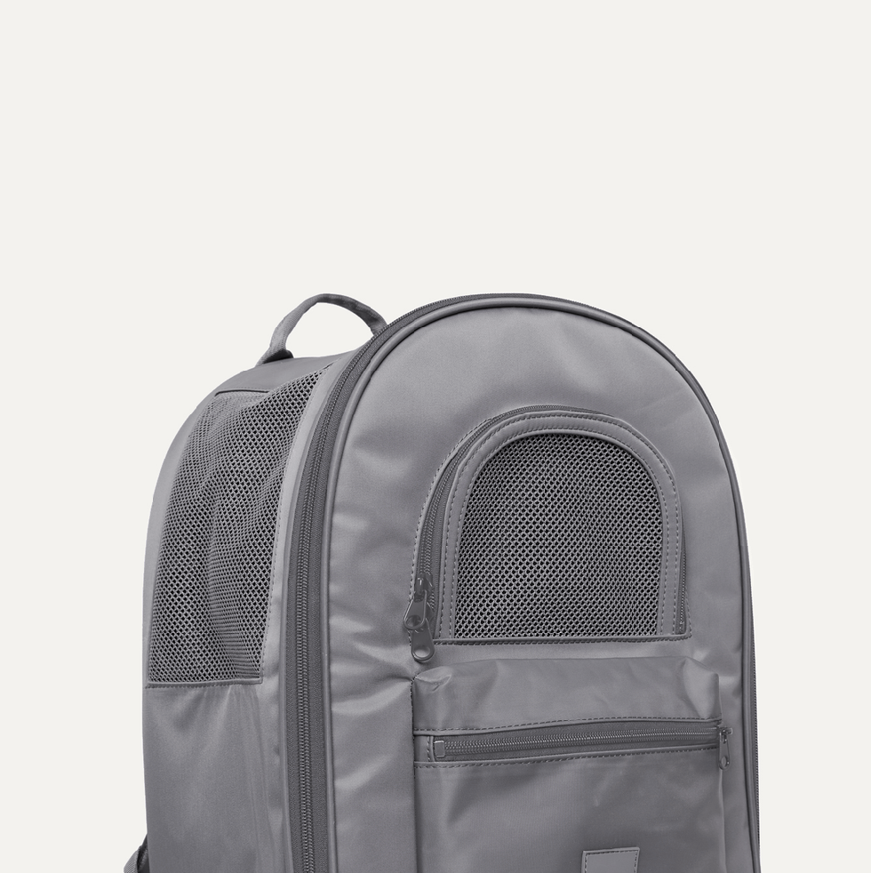 Nylon Edition Go Everywhere Backpack