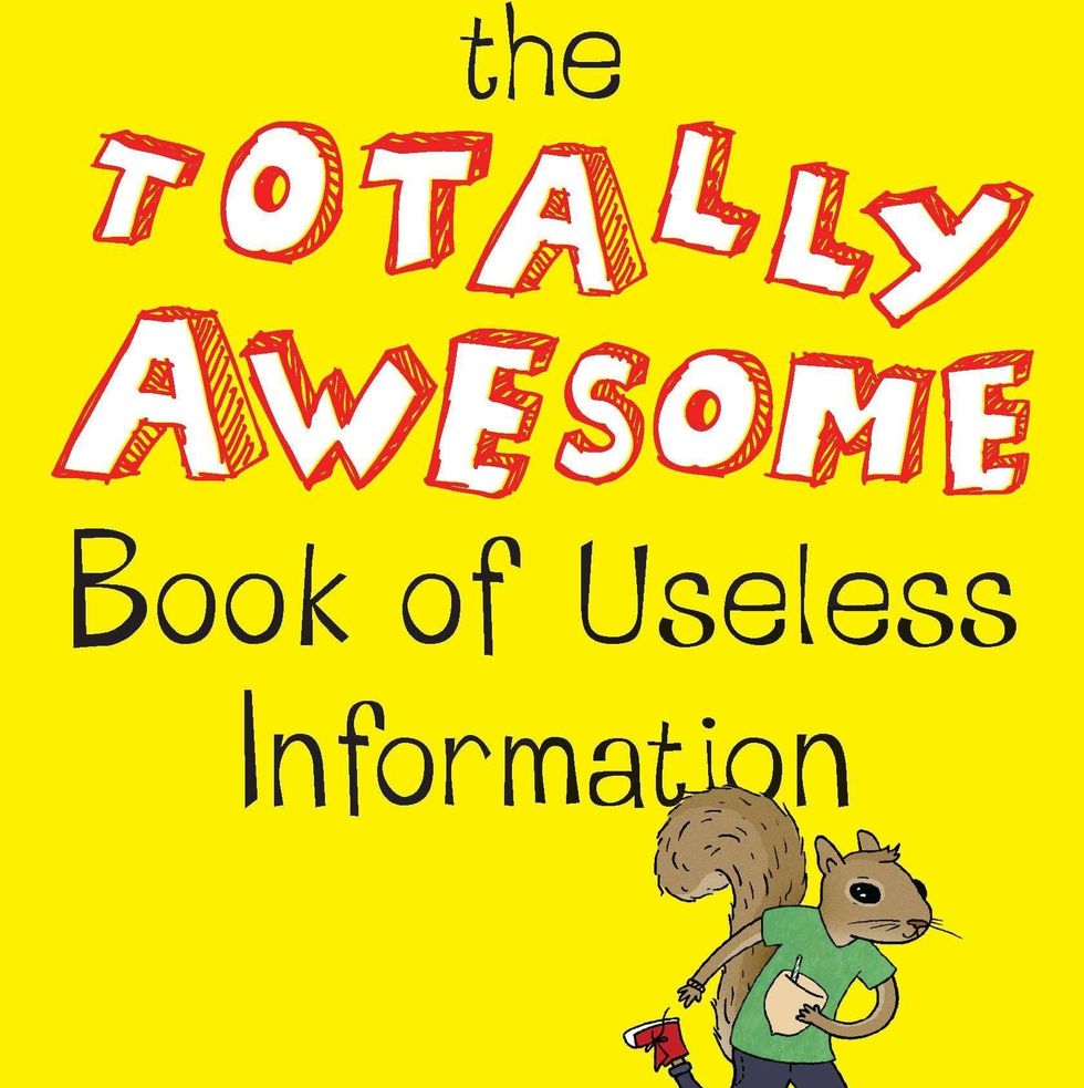 <i>The Totally Awesome Book of Useless Information</i> by Noel Botham