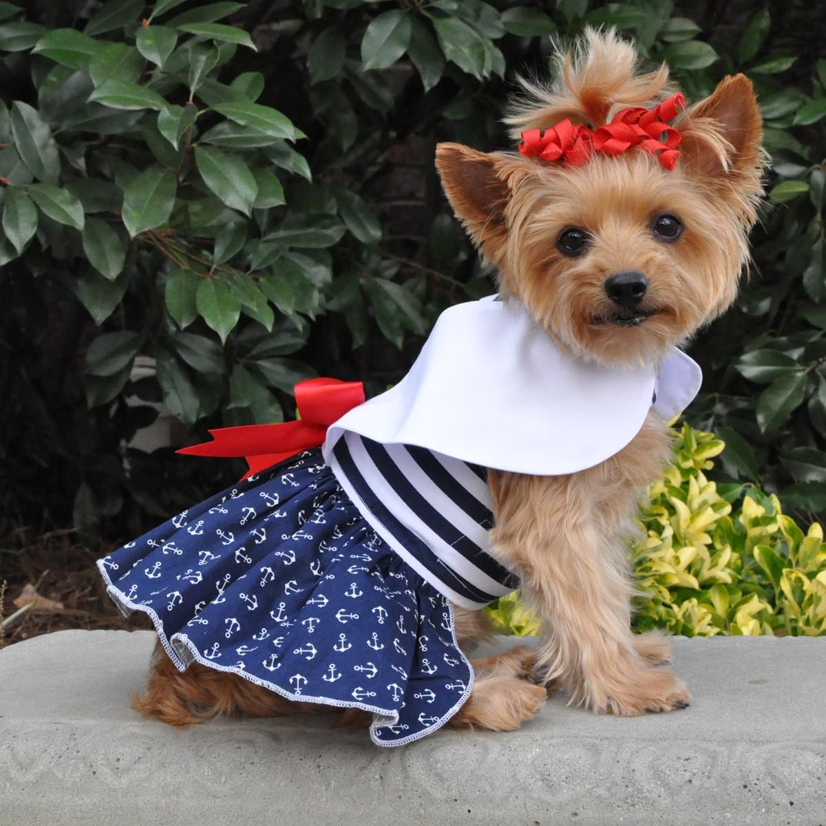 Dog sailor outlet costume