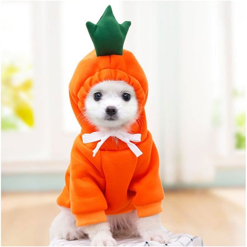 Carrot Sweatshirt for Dogs