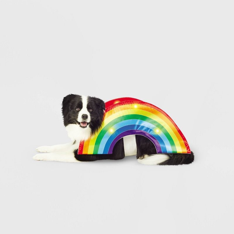 LED Rainbow Soft Brights Dog Costume 