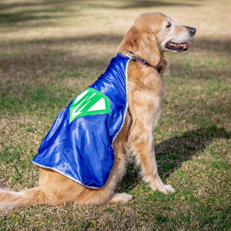 Personalized Dog Superhero Cape