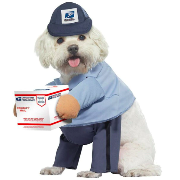 USPS Delivery Driver Dog Costume